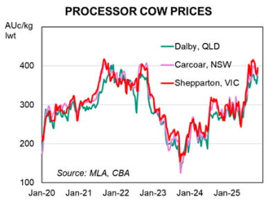 processor cow prices chart showing rising prices